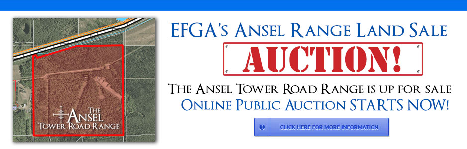 2015_Ansel_Auction1