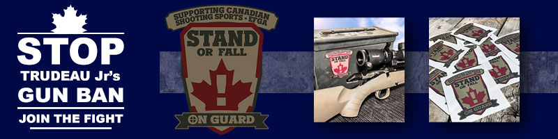 Stand-or-Fall-banner-v2